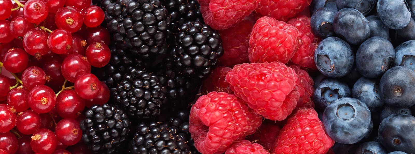 Abono para frutos rojos 750g - GL Center. Fresas, arandanos, frambuesas. Corrige carencias. Plantas mas sanas. Frutos mas sabrosos. Listo para usar.
