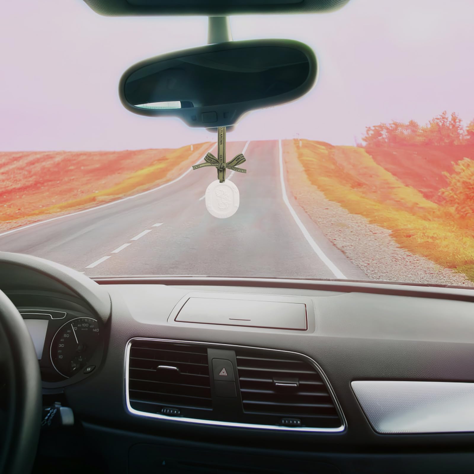 Diffusore di per auto da 10 pezzi - Dischi profumati da appendere in gesso con nastro - Diffusore di oli essenziali passivo a sospensione per auto o guardaroba