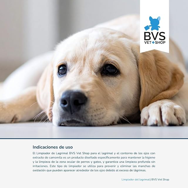 Foto 3 de 8 de BVS Vet Shop