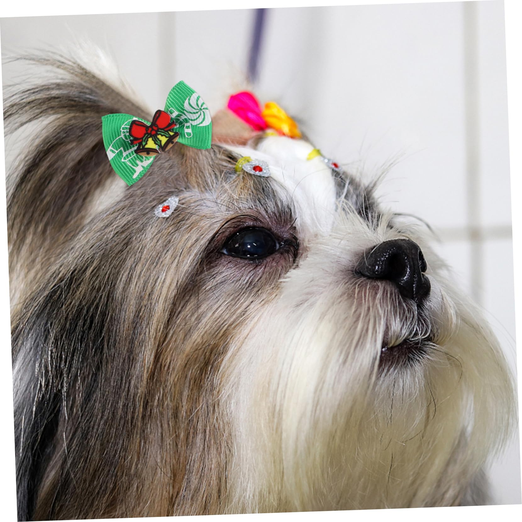 Toddmomy 200 Piezas Cuerda de Pelo de Perro Accesorios para Perros para Perros pequeños Ropa de Perro para Perros pequeños niña Anillo de Pelo de Mascota Lazo para el Pelo de Mascotas