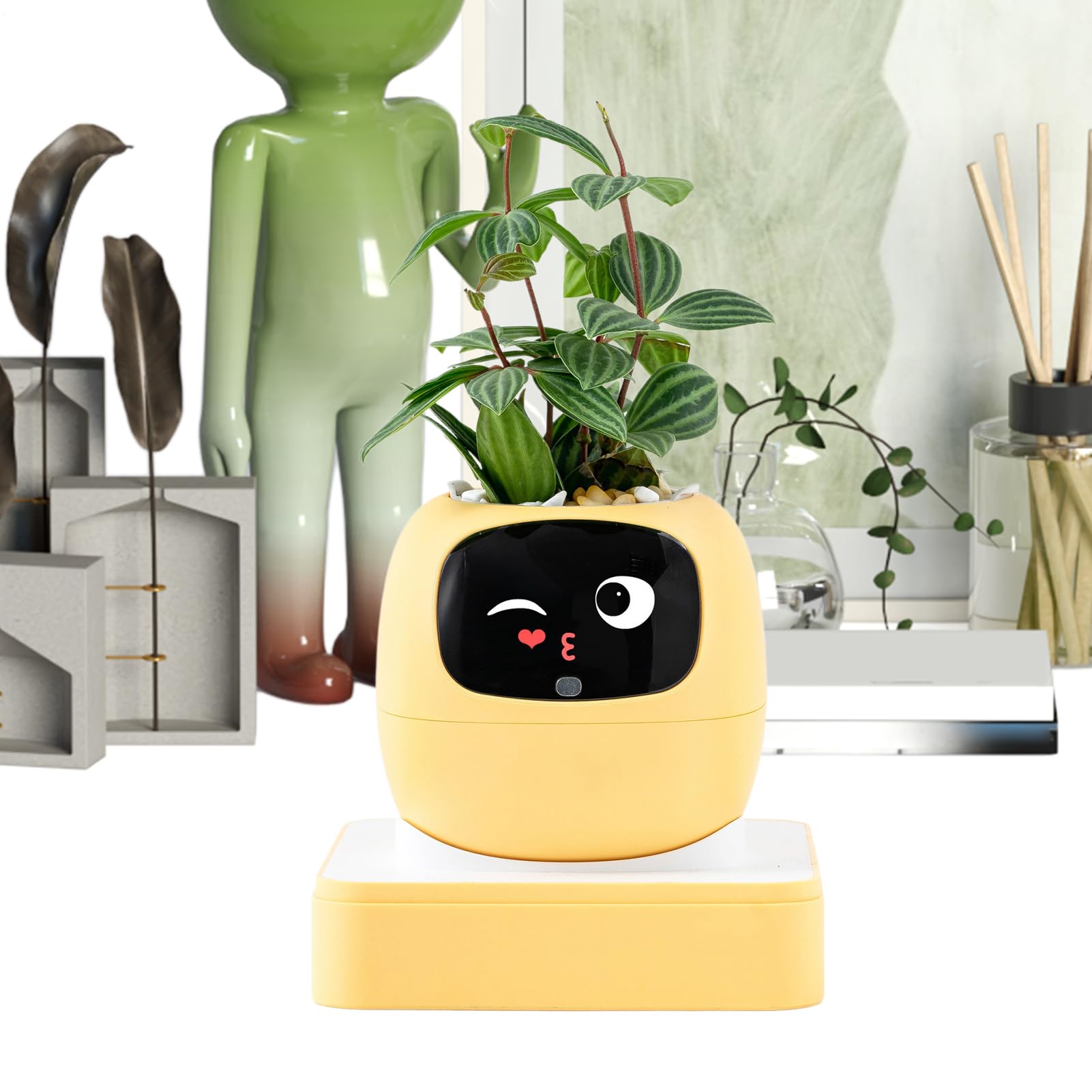 Idée cadeau originale : pot de fleurs intelligent IA expressions multiples