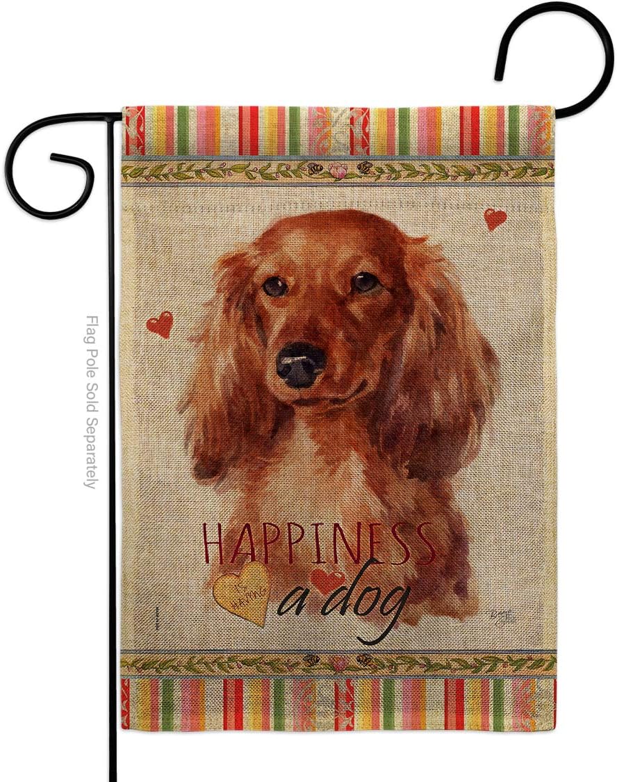 Long Hair Dachshund Happiness Garden Flag Set Wall Holder Animals Dog Puppy Spoiled Paw Canine Fur Pet Nature Farm Animal Creature Small Gift Yard House Banner Double-Sided Made In USA 13 X 18.5