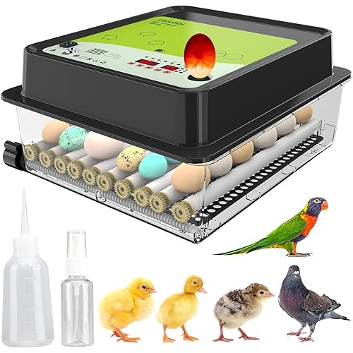 OBI-36 Egg Incubator with Automatic Egg Turning and Humidity Control + 36 Eggs + Temperature Control + Humidity Display + Integrated Egg Candler + 5 Year Assurance + Chicken Duck and Quail Eggs