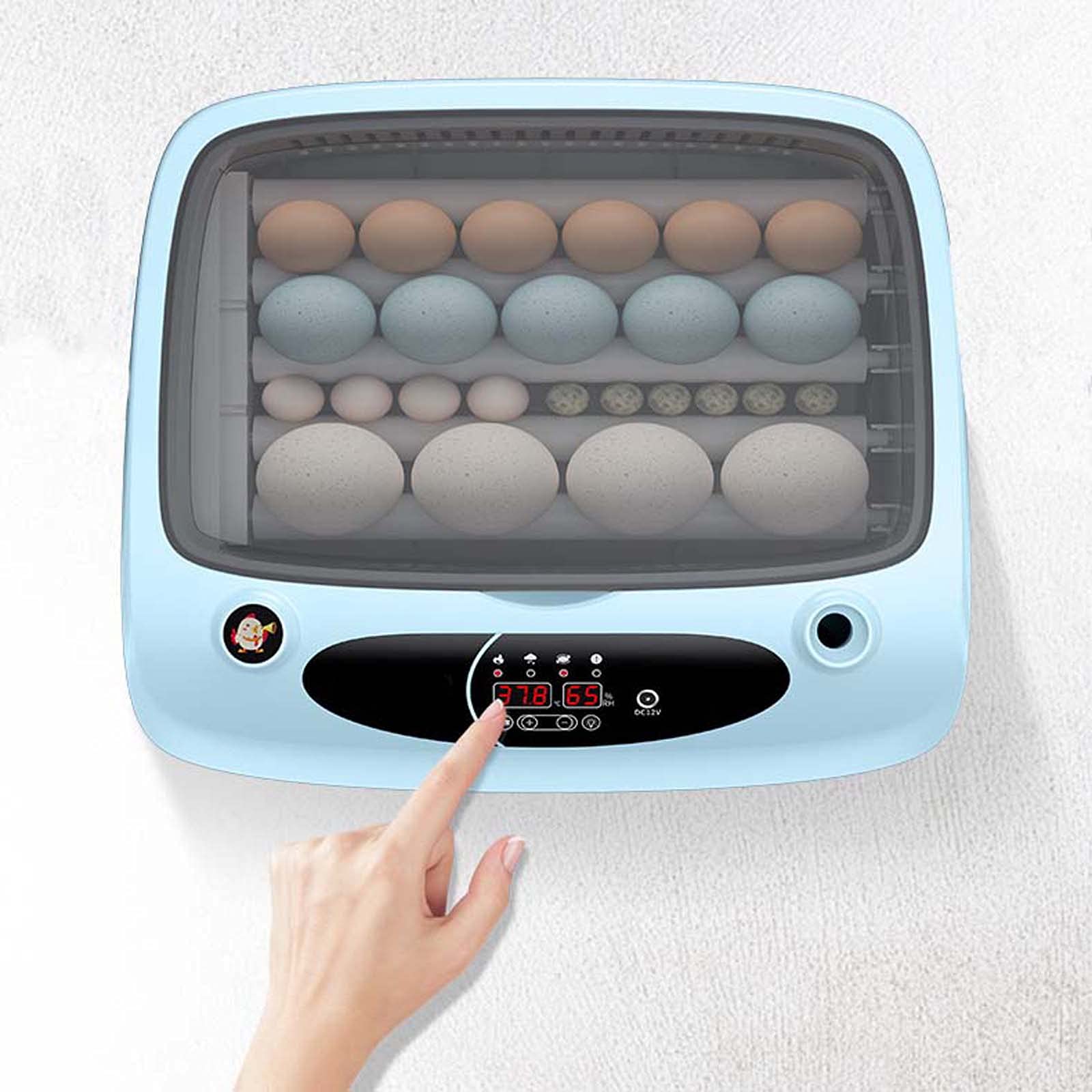 Incubadora de Huevos, máquina de incubación de Aves de Corral Completamente automática, criadora de máquina de incubación de Aves de Corral Digital Completamente automática, (Blue 36 Pieces)