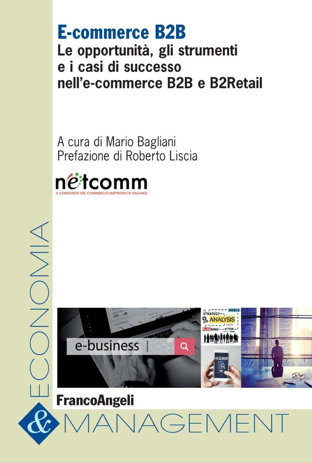 E-commerce B2B. Le opportunità, gli strumenti e i casi di successo nell'e-commerce B2B e B2Retail (Economia e management)