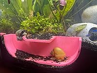 Review Image by Gab Gab