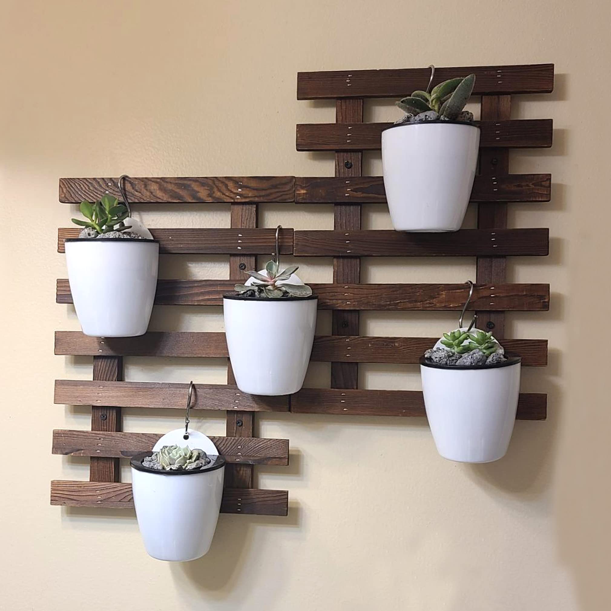 Amazon.com: HOIGON 6 Pack 7 Inch Self Water Hanging Plants Pots, Self  Watering Wall Hanging Plastic Planters with S-Hooks and Wicks, Lazy Flower  Pot for Indoor Outdoor Orchids African Violet, White :