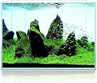 Vista 7 de LYPHARD AQUARIUMS Acuario sin borde de 9.5 galones, tanque de peces pequeño de vidrio ultra transparente bajo en hierro para Betta, 15.7 pulgadas