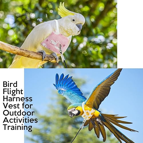 Miniatura 6 de Bonaweite Paquete de 2 chalecos de traje de vuelo de pájaros, arnés de loro con correa de 6.56 pies para entrenamiento de vuelo al aire libre, ropa