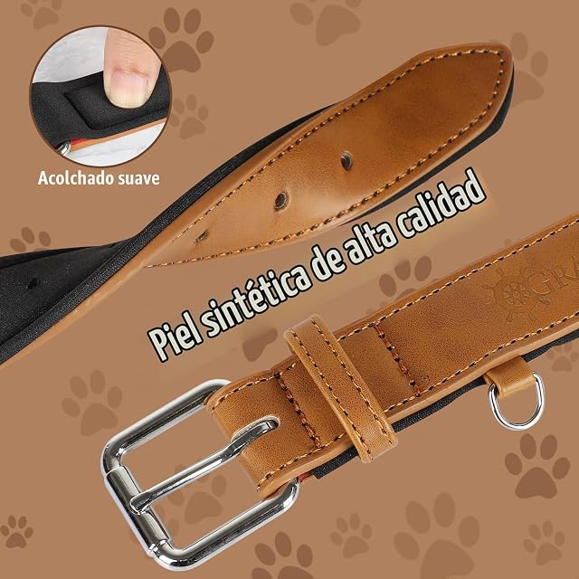 Foto 4 de 7 de Grand Line Collar de Perro de Cuero