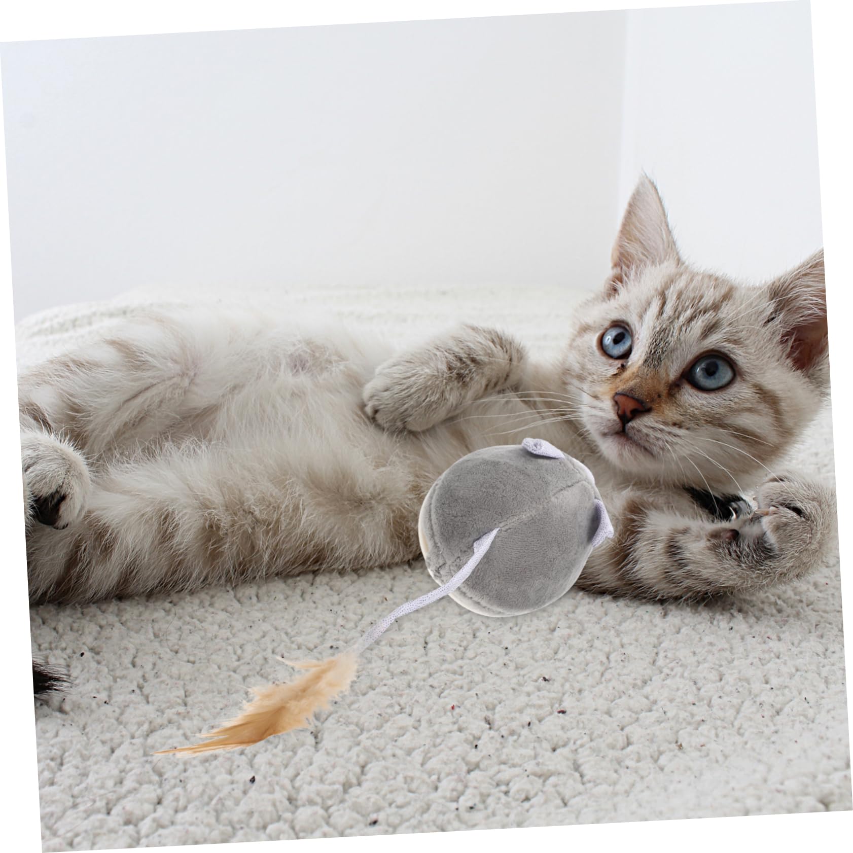 POPETPOP 3pièces Jouet pour Chat Animal avec Herbe à Chat Jouet Électronique Interactif pour Chatons Amusant Et Résistant Stimule Exercice Félin