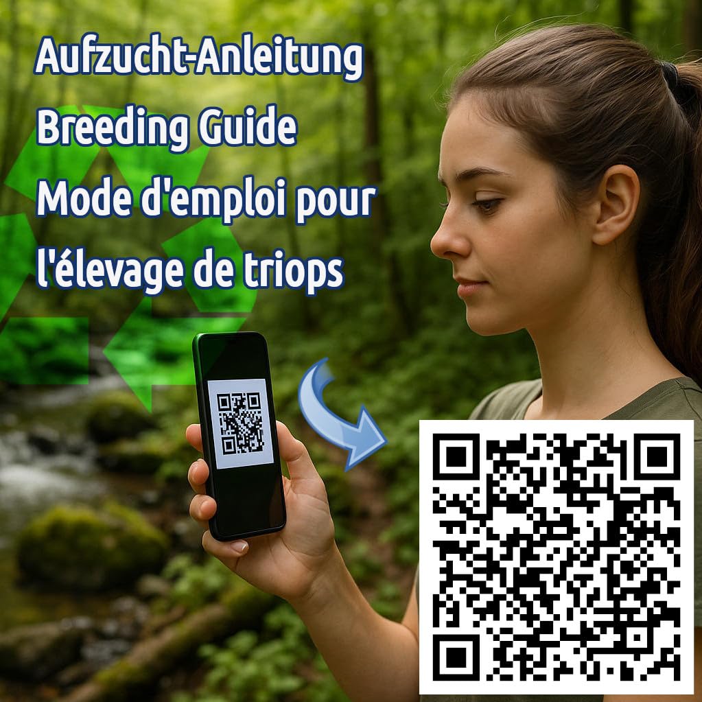Triops longicaudatus rouge - Cancer préhistorique - Élevage de triops - Oeufs Triops avec instructions de l'élevage en français à télécharger (minin 150 oeufs)
