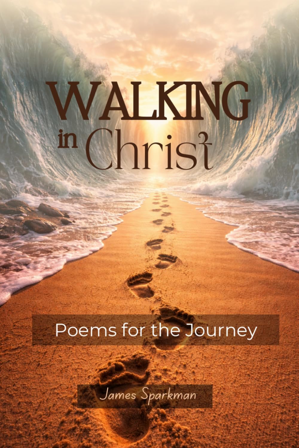 Walking in Christ: Poems for the Journey