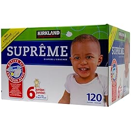 Kirkland Signature Diapers Size 6 Quantity 120