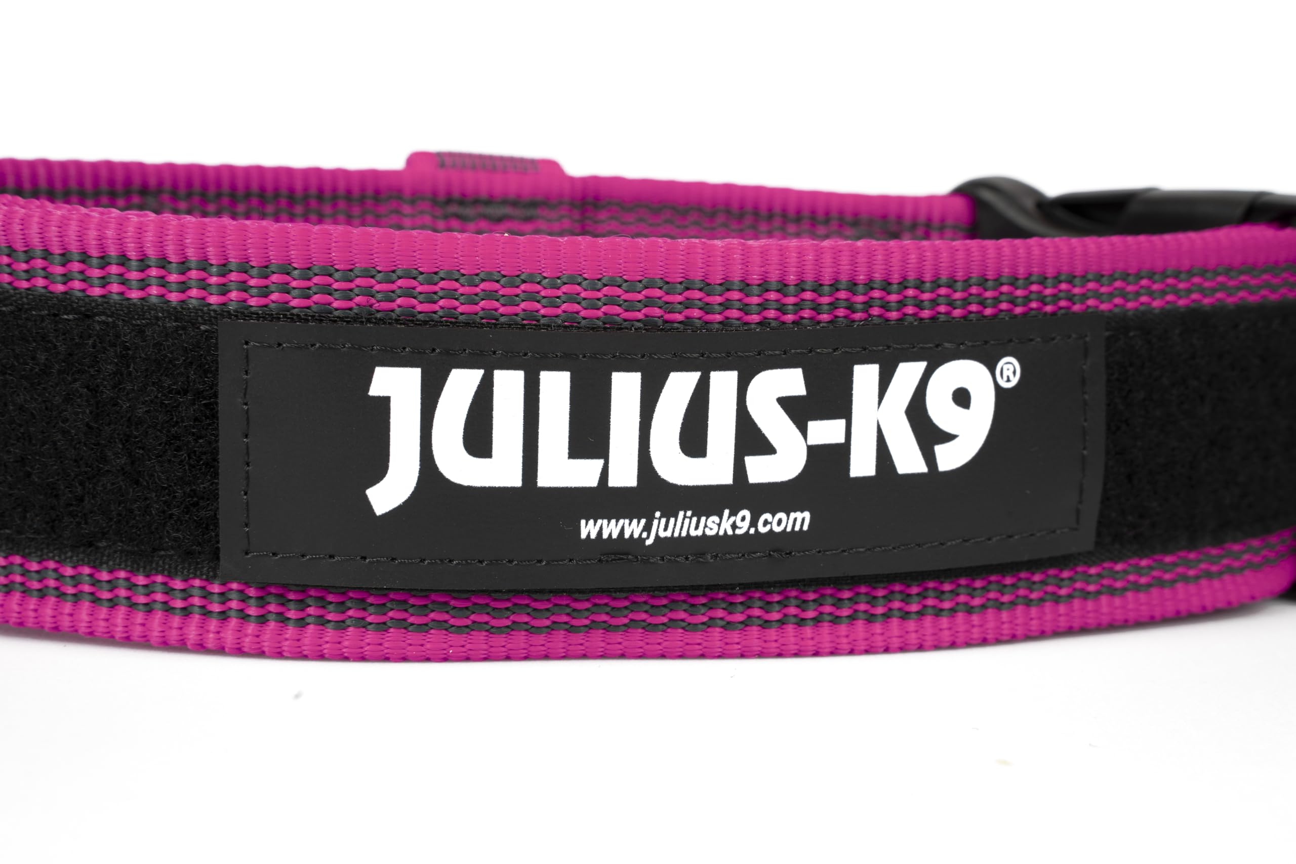 Julius-K9 Collare Color & Gray con manico richiudibile, chiusura di sicurezza ed adesivi intercambiabili, 40 mm (38-53 cm), Rosa-Grigio