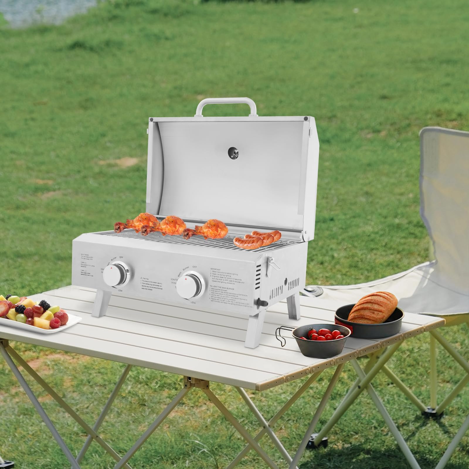 Barbecue à gaz portable en acier inoxydable avec 2 brûleurs, barbecue pliable pour arrière-cour, jardin, terrasse et pique-nique, 22 x 18 x 15 pouces