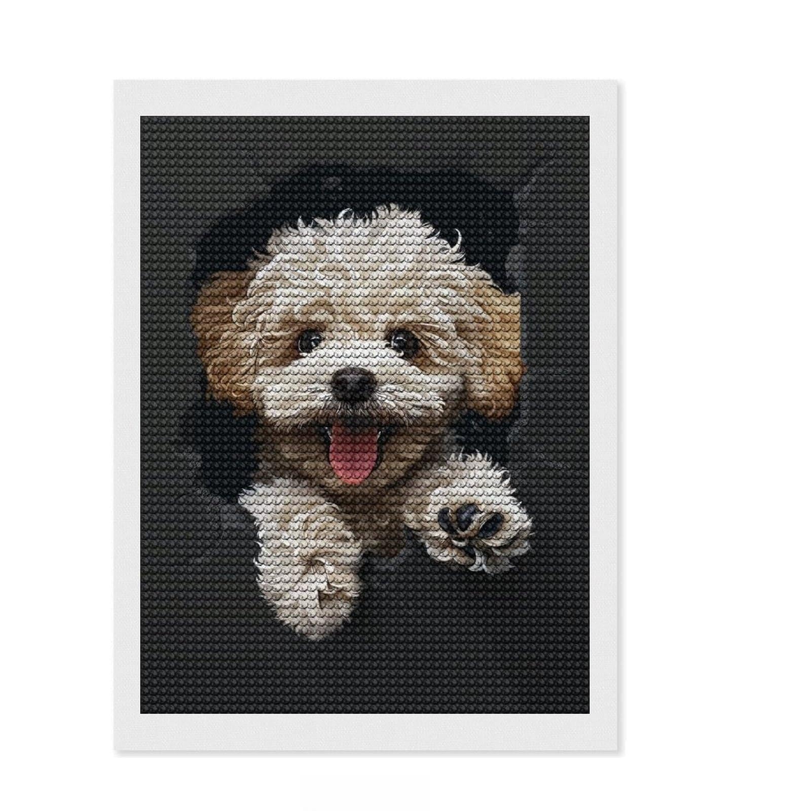 Junmoney Poodle Diamond Art Kit 12"x16", for Creative Relaxation, Easy to Enjoy, Living Room Decor, Gift Idea, Simple to Start