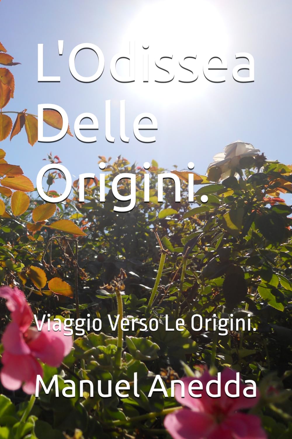 L'Odissea Delle Origini.: Viaggio Verso Le Origini.