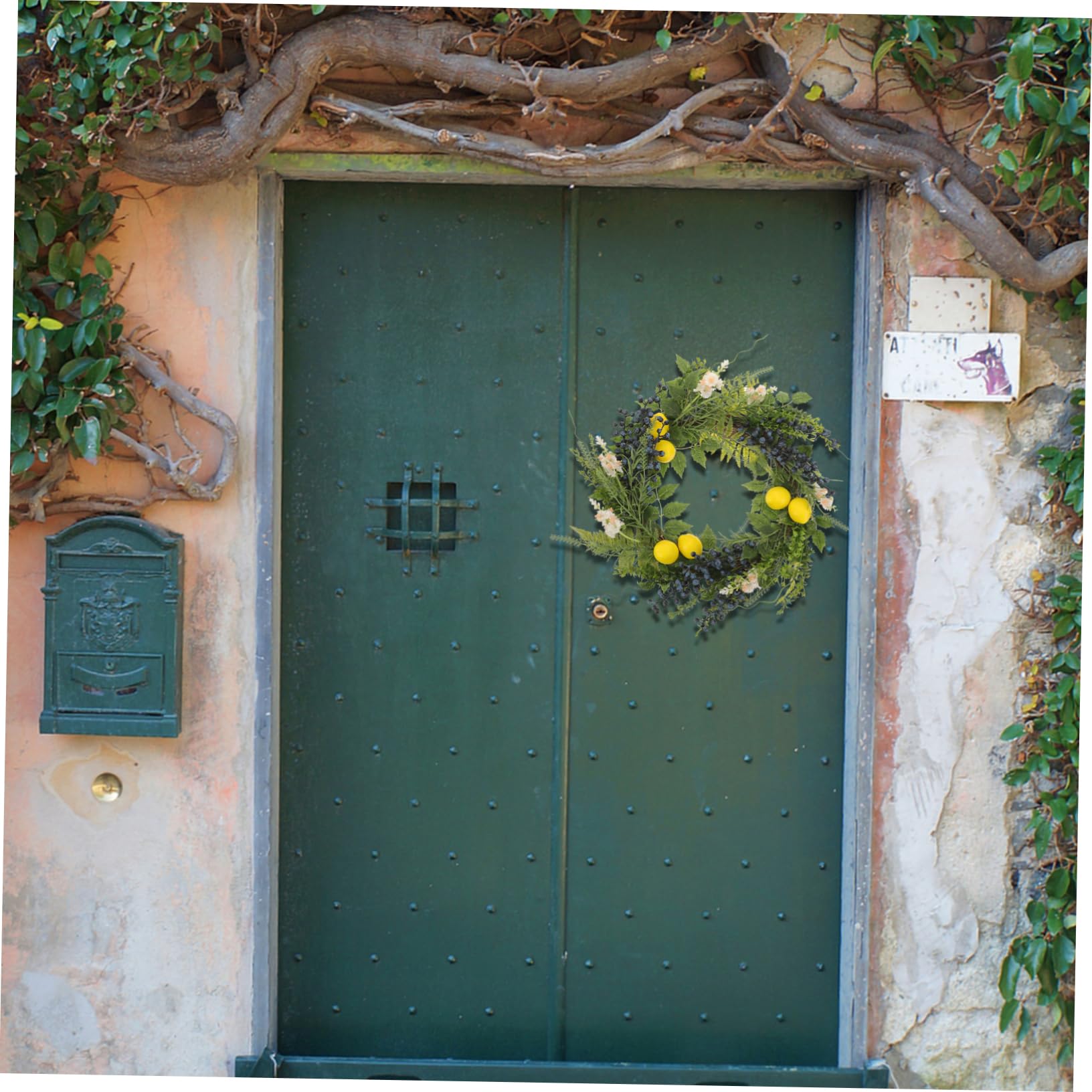 Ghirlanda Artificiale di Fiori e Frutti per Porta d Ingresso Decorazione Primaverile Estiva Finta Ghirlanda Rustica per Interni