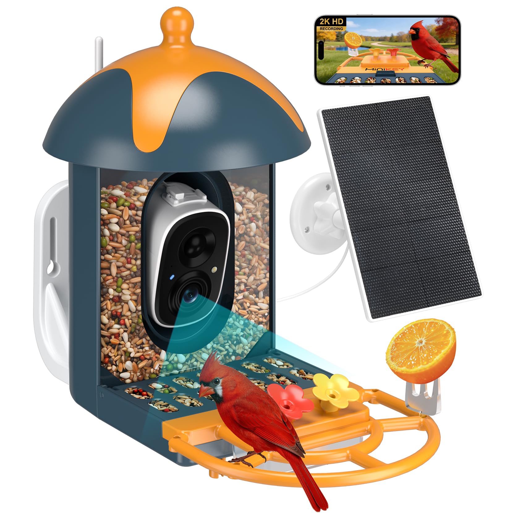 Smart Bird Feeder mit Kamera Outdoor Vogelhaus: AI identifiziert 11000+ Arten, 2K HD, Ankunftswarnungen, solarbetrieben, blau-orangefarbenes zweifarbiges Design, Kolibri-freundlich, Geschenk für