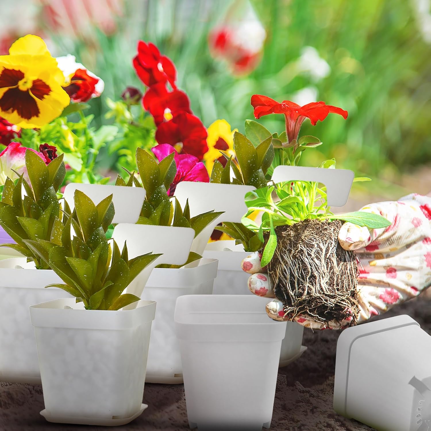 140 Pcs 3 Inch Plastic Plant Pots Square Seedling Nursery Pots Reusable Small Plant Pots with Saucers 140 Pcs Waterproof Plant Labels T Type Plant Tags Marking Pen for Garden Balcony Office (White)