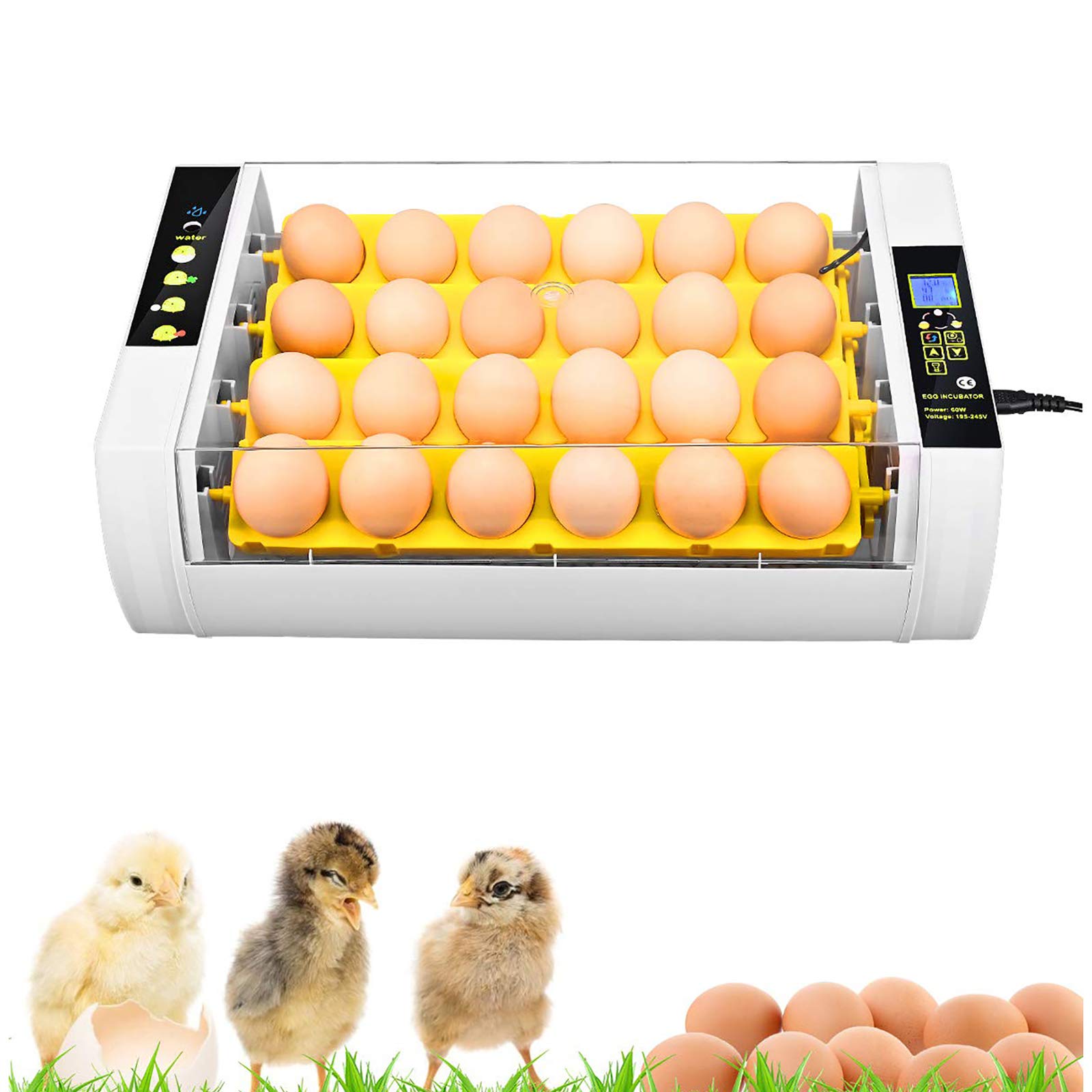 Incubateur de 24 œufs appareil éclosion maison et testeur de candler