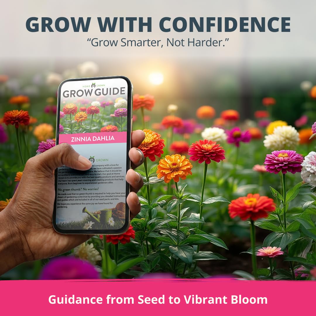 524 Seeds Zinnia elegans Y407