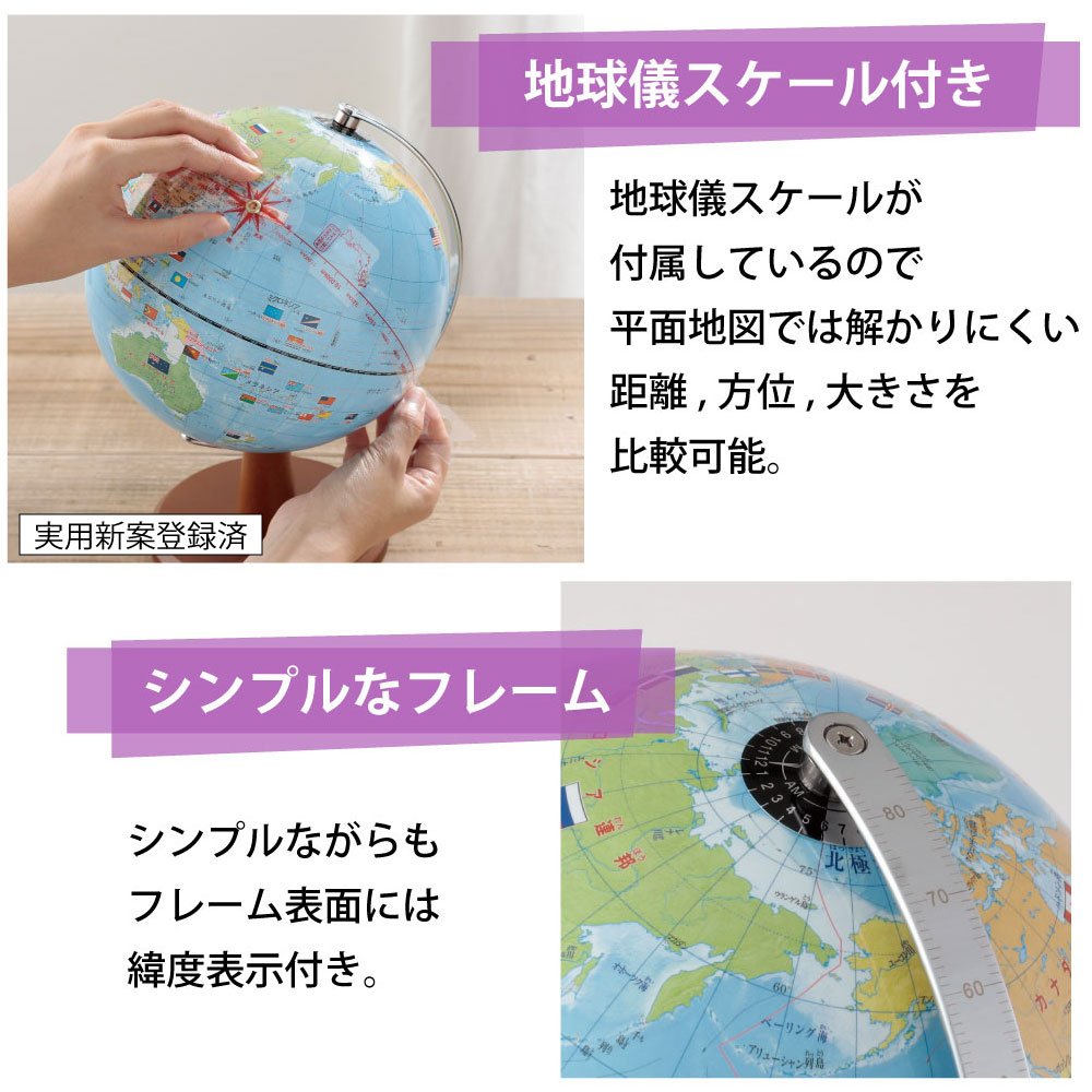 Amazon | レイメイ藤井 地球儀 国旗・よみがな付き 球径20cm OYV221