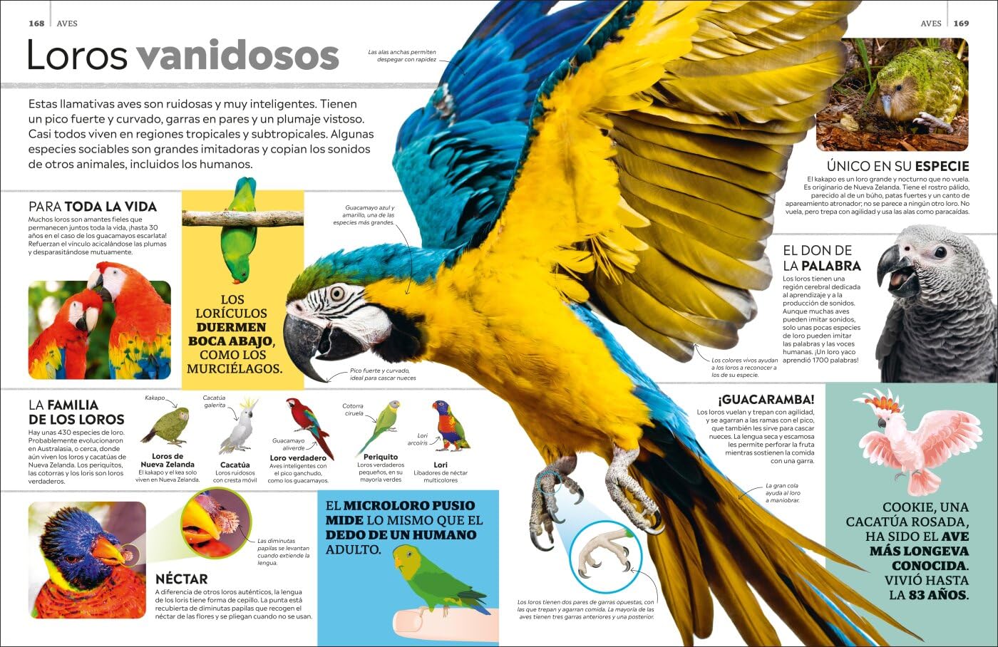 La superenciclopedia de los animales: Invertebrados | Peces | Anfibios | Reptiles | Mamíferos (Enciclopedia visual juvenil)