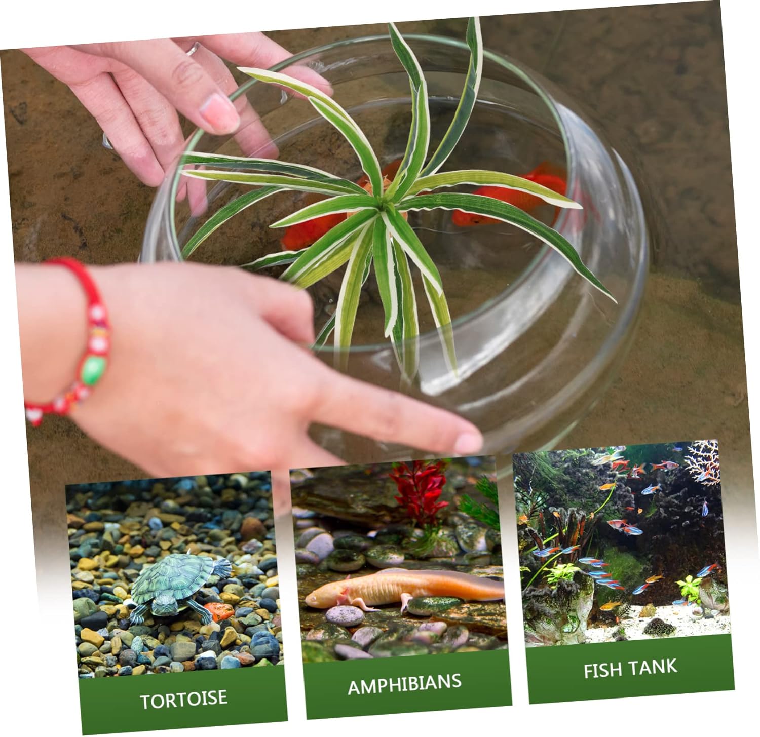 5pcs Reptile Landscaping Plants Fake Planta Fish Aquarium Decoration Terrarium Landscape Plants Box