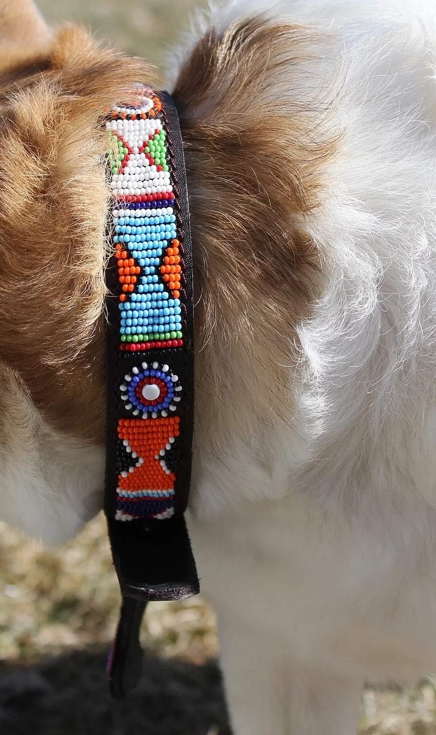 Multicolored Pattern Leash