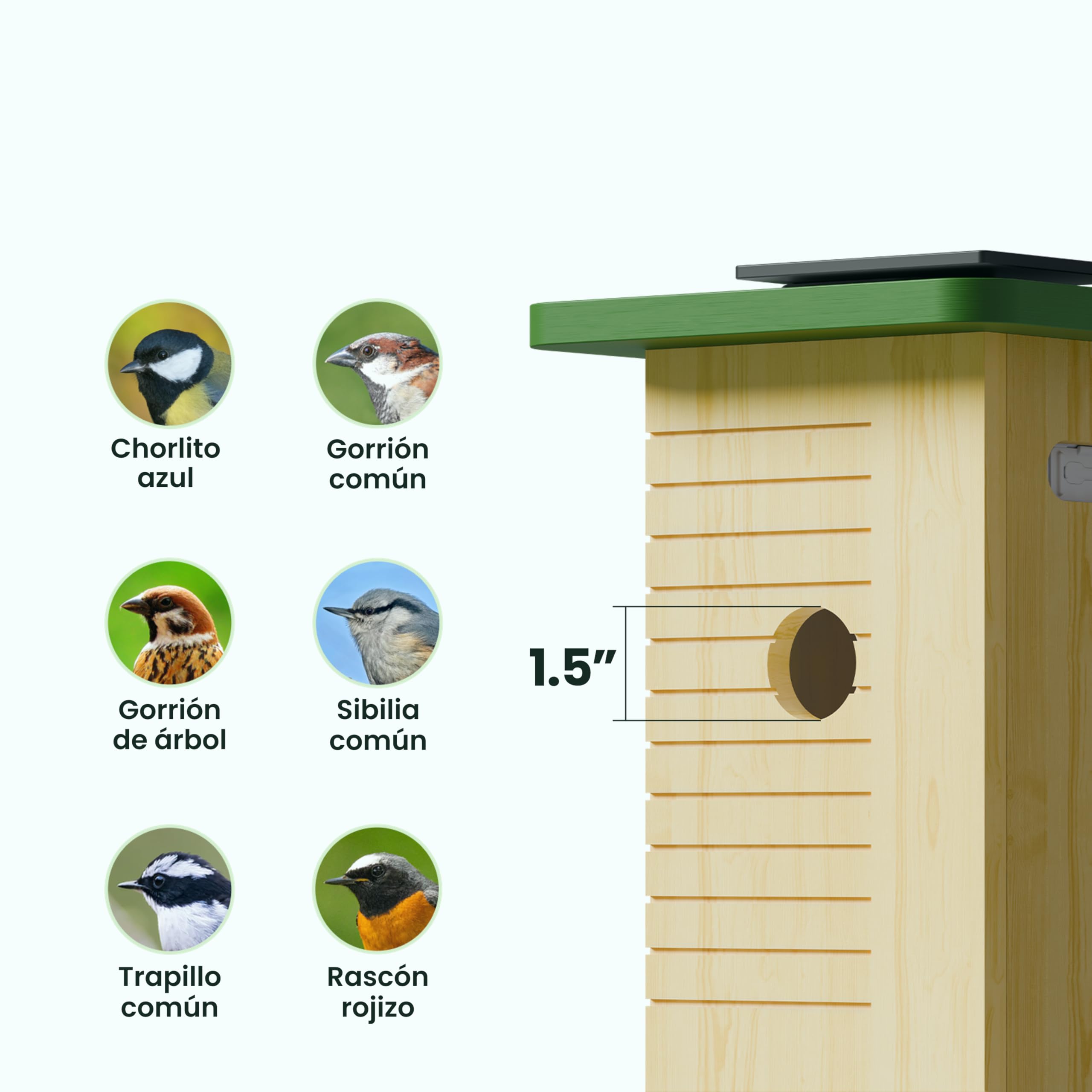 Birdfy Pajarera con cámara, nido con cámara, cámara de 2 millones de píxeles, para exteriores, observación en tiempo real de la construcción de nidos y cría de aves, detección de comportamiento de