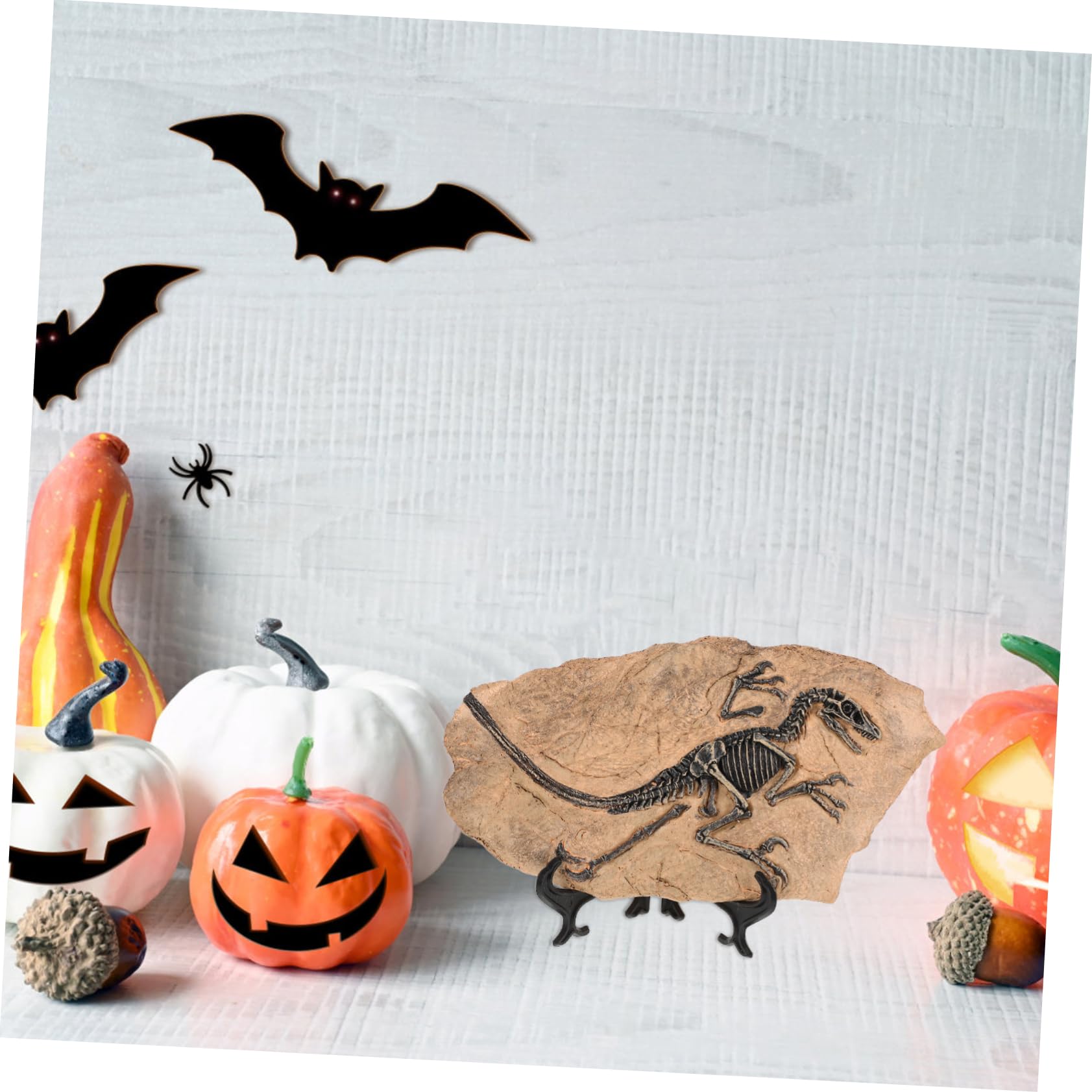 Toyvian Riproduzione di Fossile di Dinosauro in Resina Decorativa Set per Ragazzo Ragazza, Favorisce Creatività e Conoscenza, per Decorazioni di Compleanno e Festa