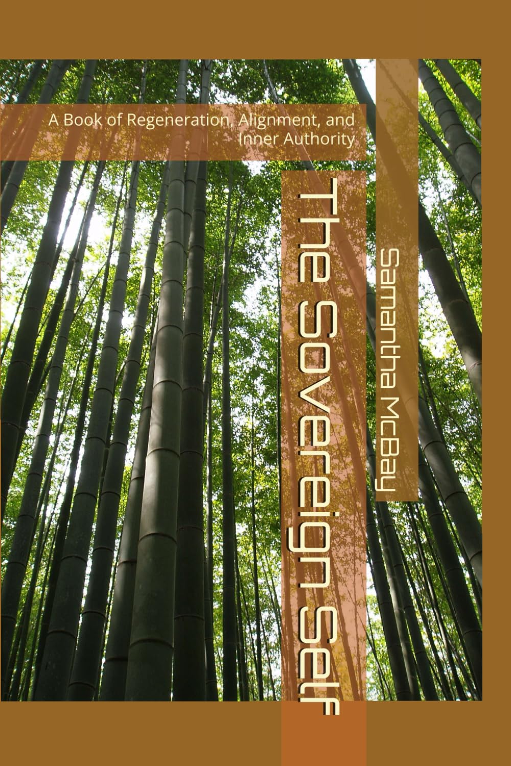 The Sovereign Self: A Book of Regeneration, Alignment, and Inner Authority