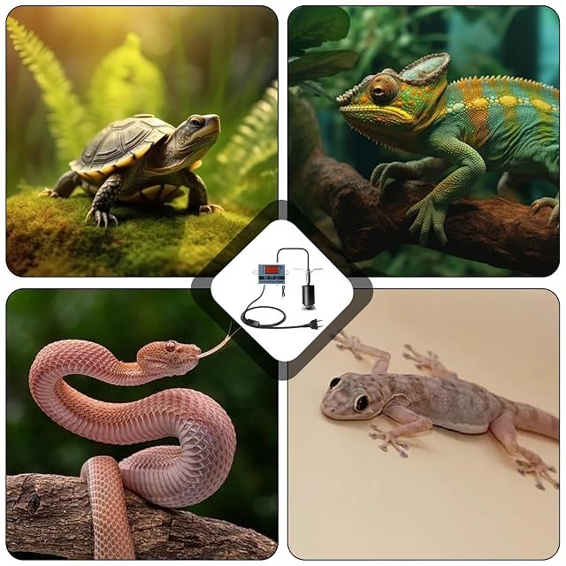 Foto 7 de 7 de Portalámparas de calor de cerámica, portalámparas de calefacción para reptiles
