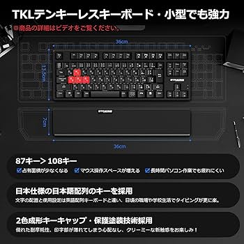 GTRACING ゲーミングキーボード テンキーレス 青軸 メカニカル キーボード 日本語配列 有線 RGB TKL コンパクト 着脱式ケーブル  パームレスト ゲーマー向け (メカニカルらしい爽快な入力) GT885-RGB