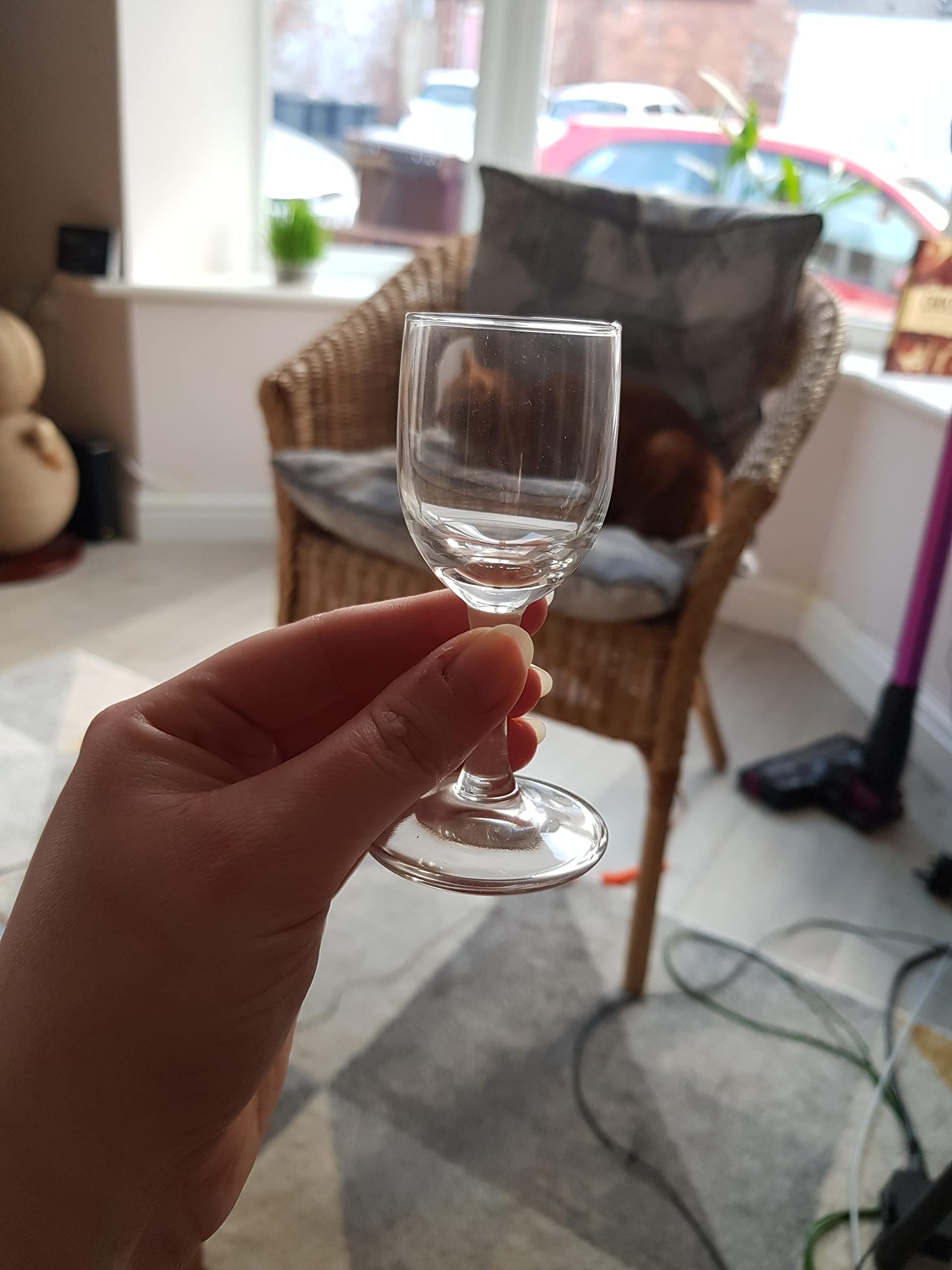 Lot de 6 verres à shot en verre de longue tige 35 ml Diamant cadeau