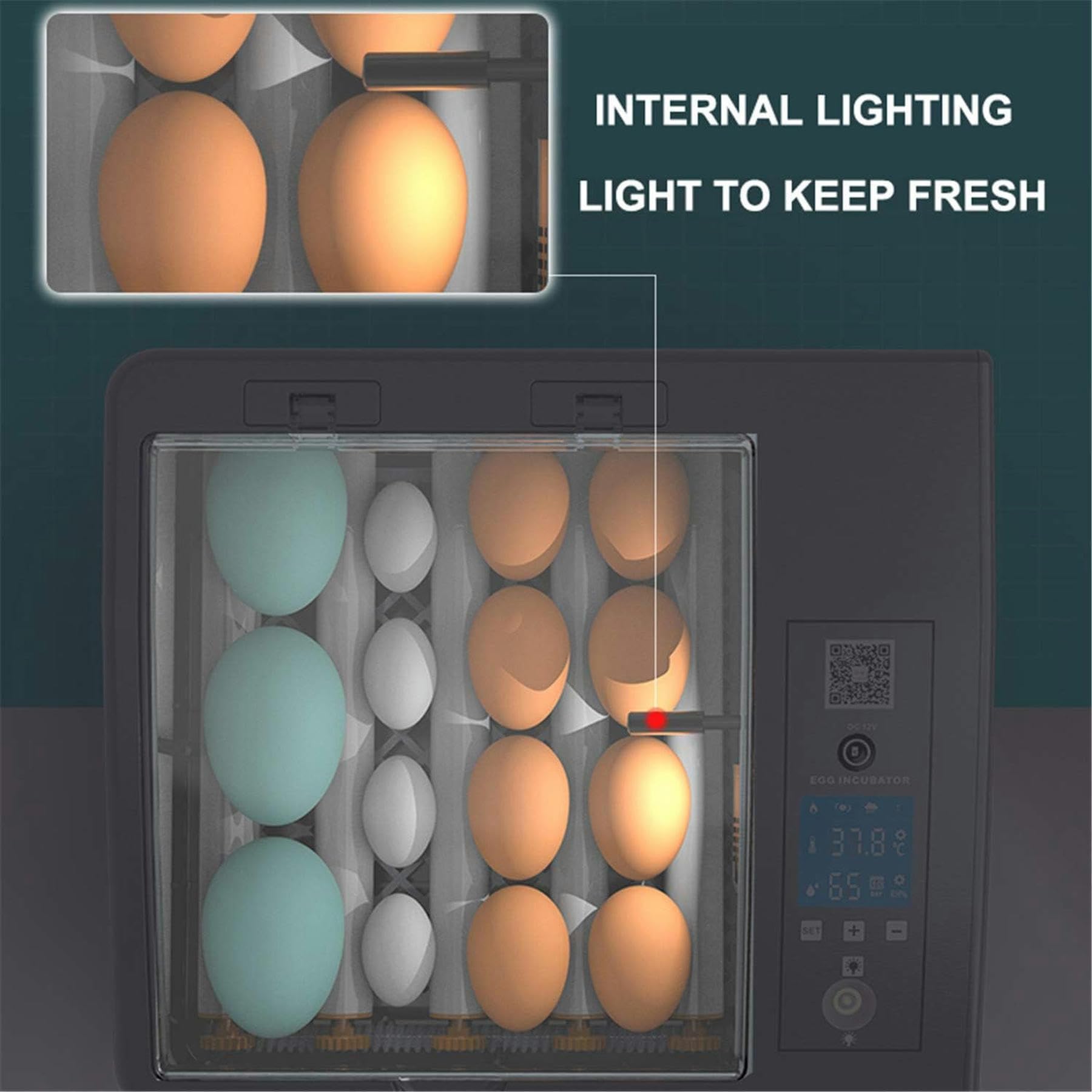 Incubadora Digital para Huevos, máquina automática para incubadora de Aves de Corral, con Control de Temperatura y rotación automática, para Huevos de Pato, Huevos de Ave, Huevos de tur