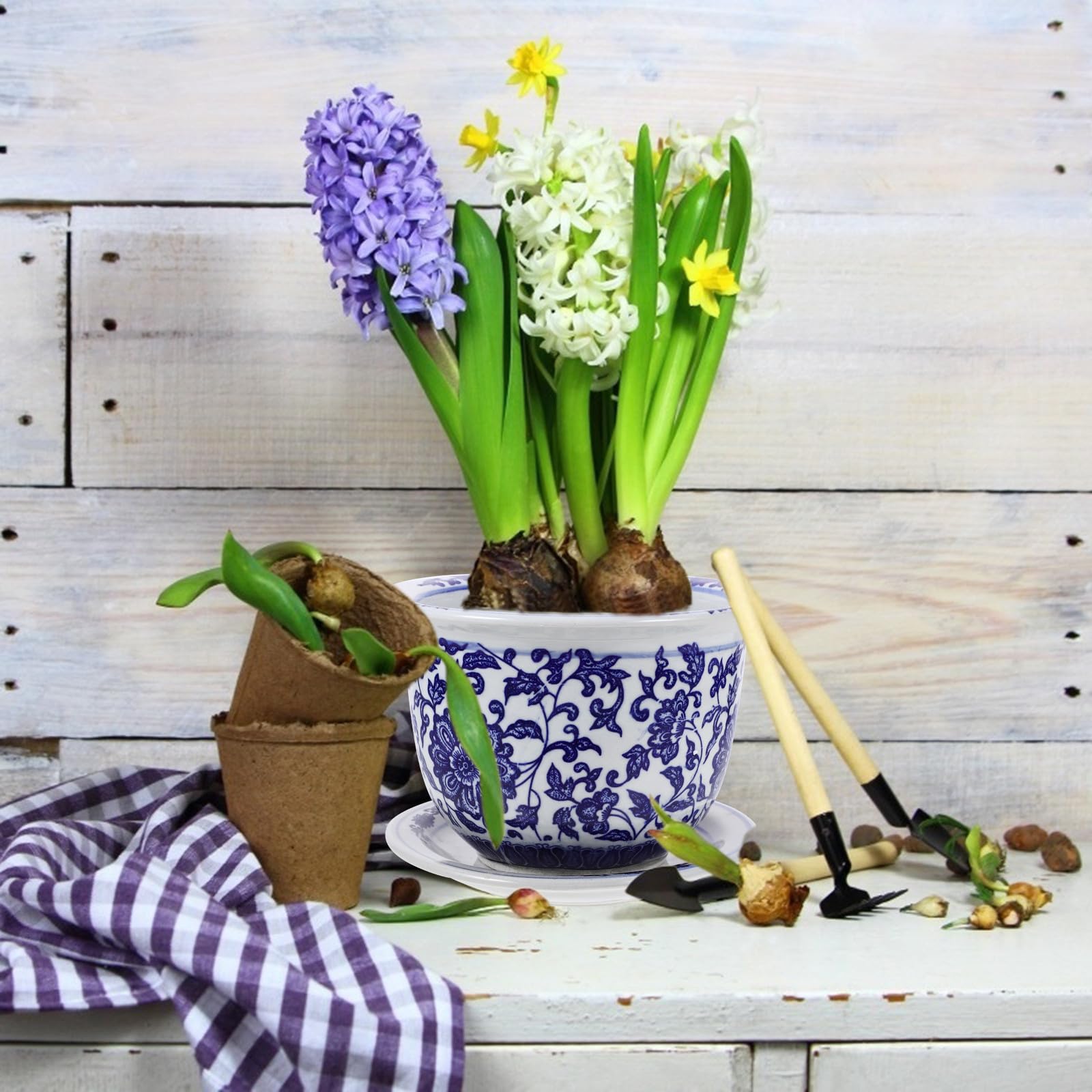 Vaso per Piante in Ceramica con Motivo Decorativo Blu e Bianco, Set da 1 con Vassoio, per Fiori e Piante Grasse da Interno o Ufficio