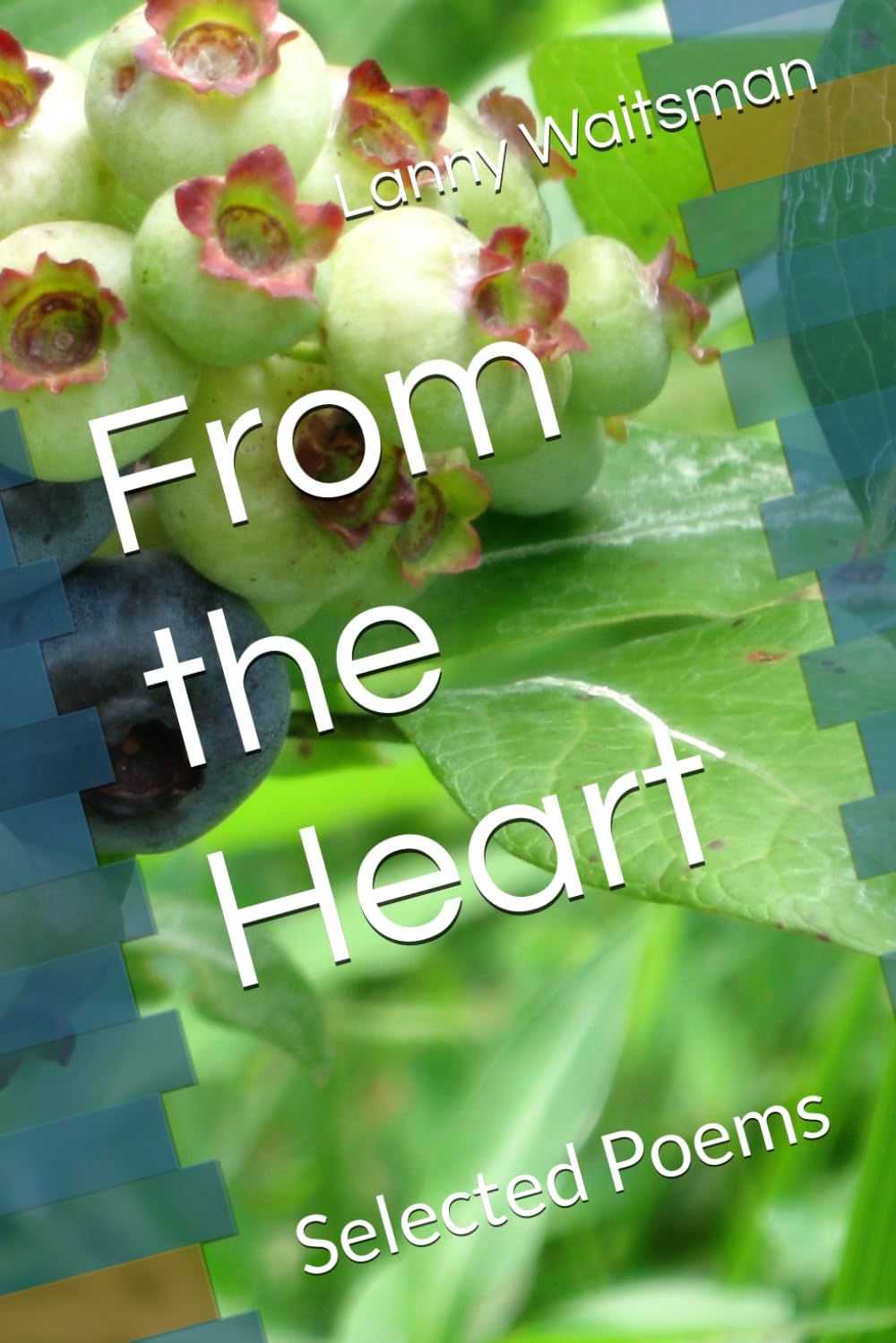 From the Heart: Selected Poems