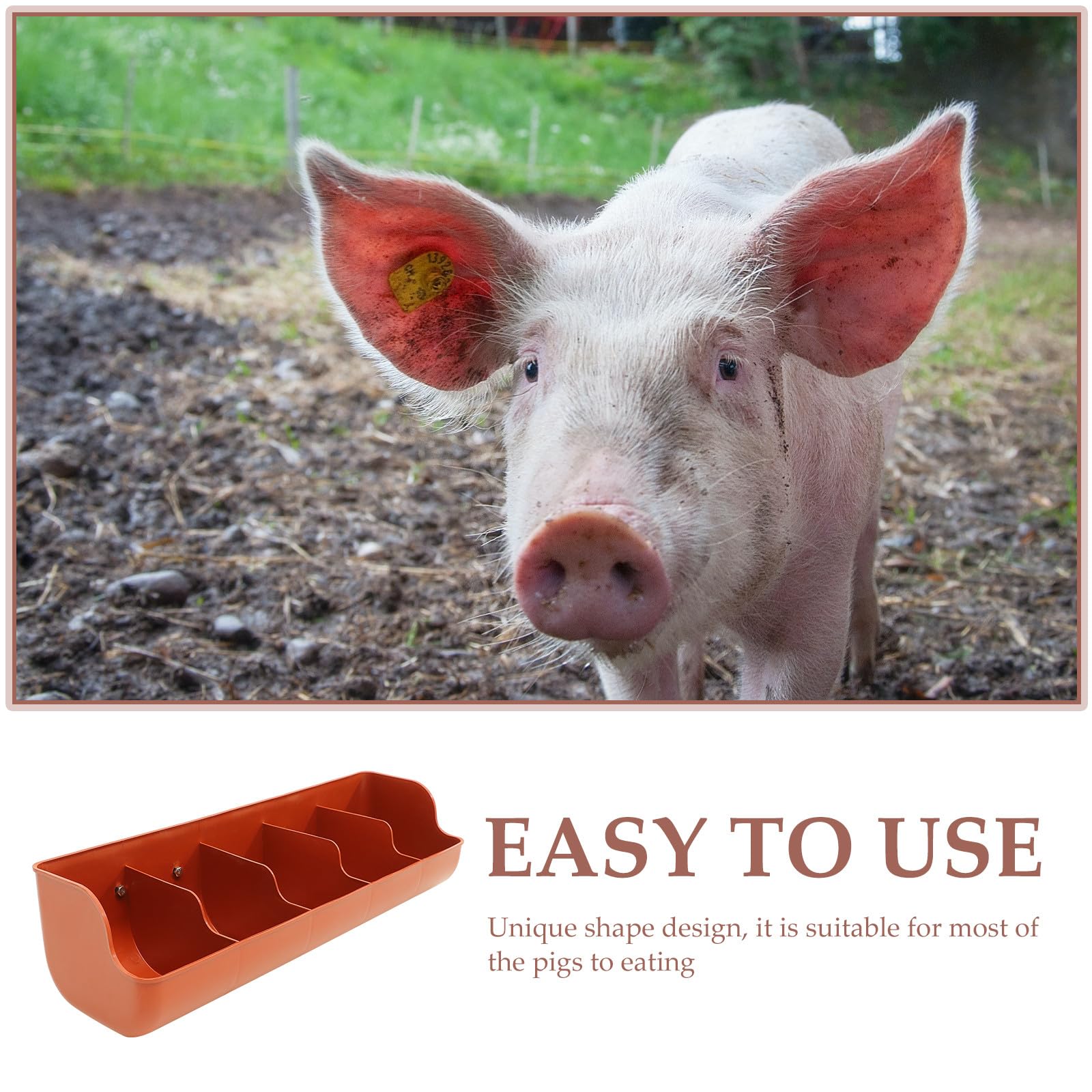 Mangiatoia per Maiali in Plastica 5 Scomparti, Resistente All’usura e Facile da Pulire, Distributore di Mangime per Suinetti per Allevamenti e Forniture Agricole