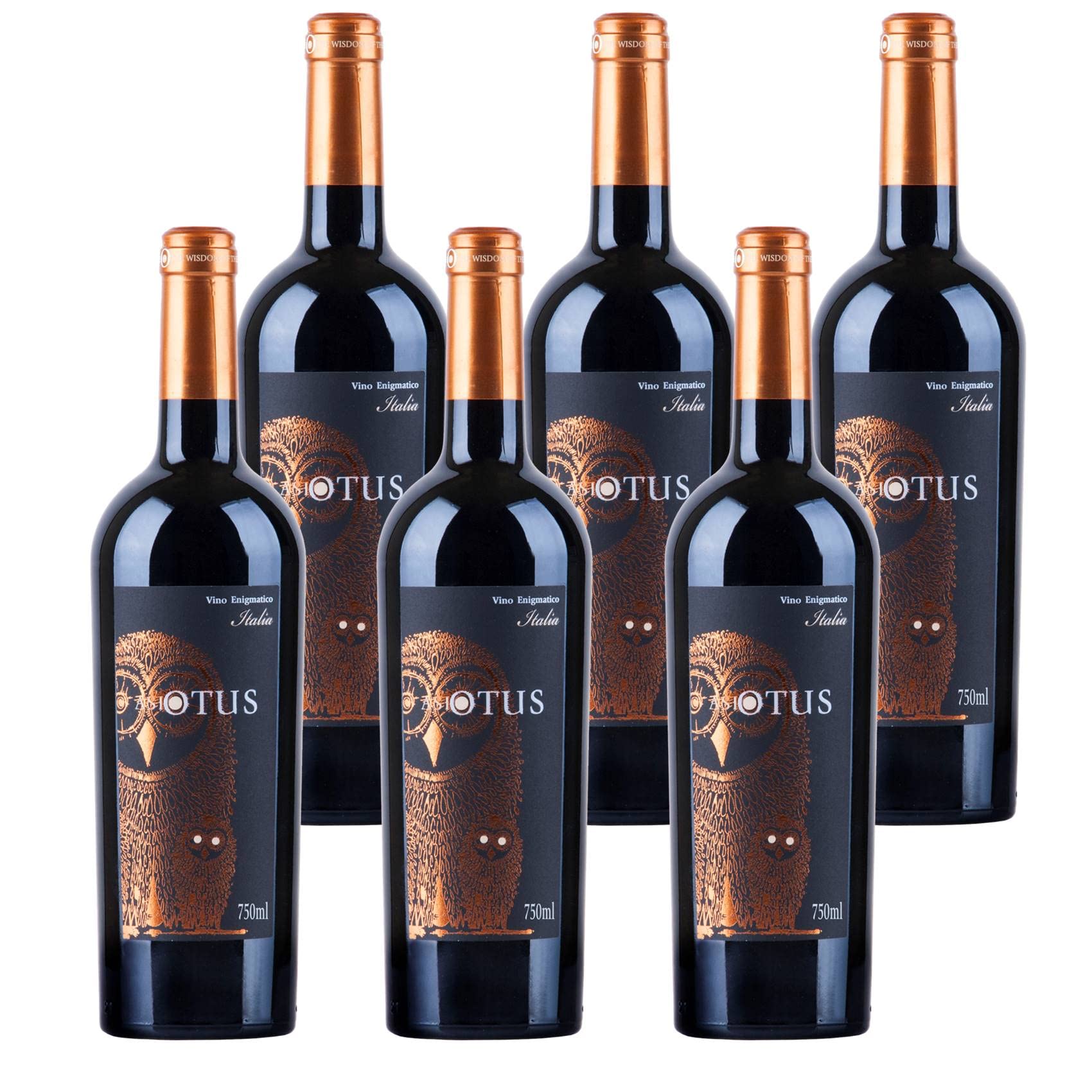 Asio Otus Rosso Vino Varietale Rotwein Wein lieblich Italien (6 Flaschen)