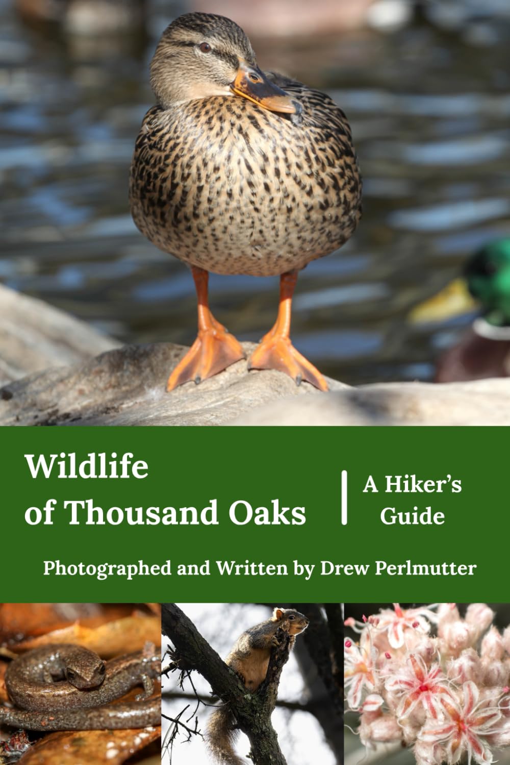 Wildlife of Thousand Oaks | A Hiker's Guide      Paperback – February 9, 2026