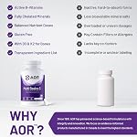 AOR Multi Basics 3 309mg, 90 Capsules 30 Jours - Formule Quotidienne de Multivitamines et Minéraux pour Adultes avec Vitamine D3, C, B1, Sélénium, Zinc, Quercétine - Végétalien, Non-OGM et Sans Gluten