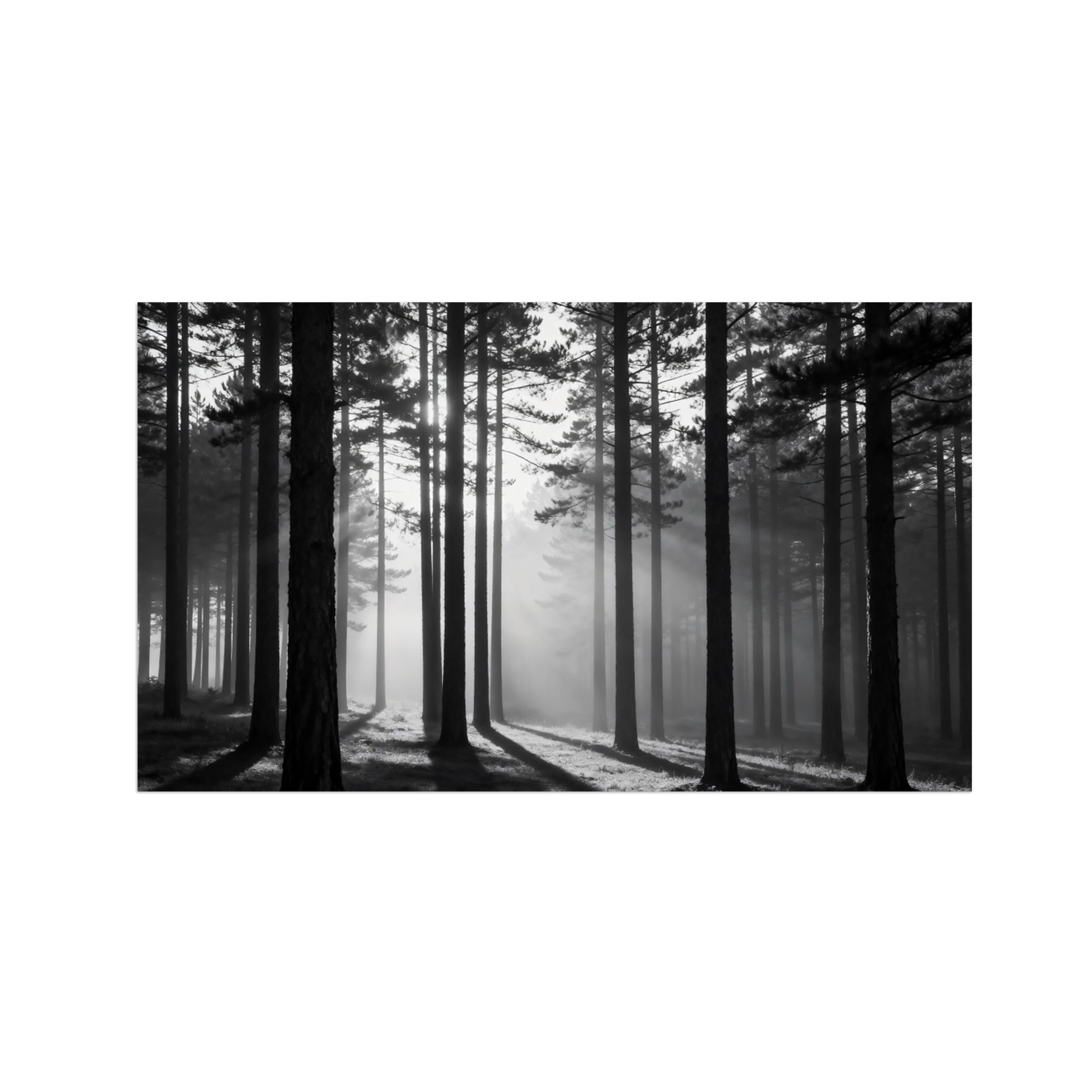 OZPWBVY Forest Tree Black White Landscape Wall Art Prints 40x70cm Unframed