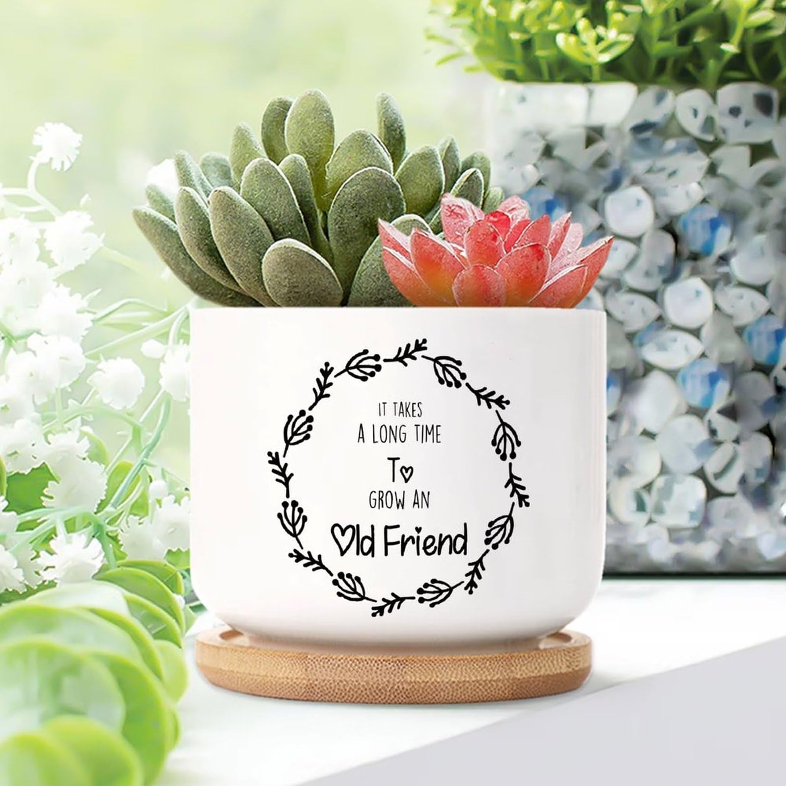 Yelolyio Style-10 It Takes A Long Time To Grow An Old Friends Ceramic Planters Family Quote Planters For Outdoor Plants With Drainage Holes And Saucers Pot For Succulents Cactus Garden Windowsill
