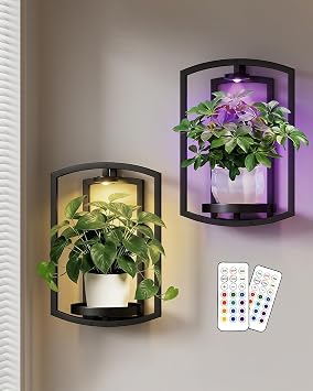 Aisdan Wall Plant Holder, Wall Planters for Indoor Plants with Wireless Remote Lights, Frame Plant Wall Shelves Wall Mounted Plant Holder for Living Room, 2 Pack