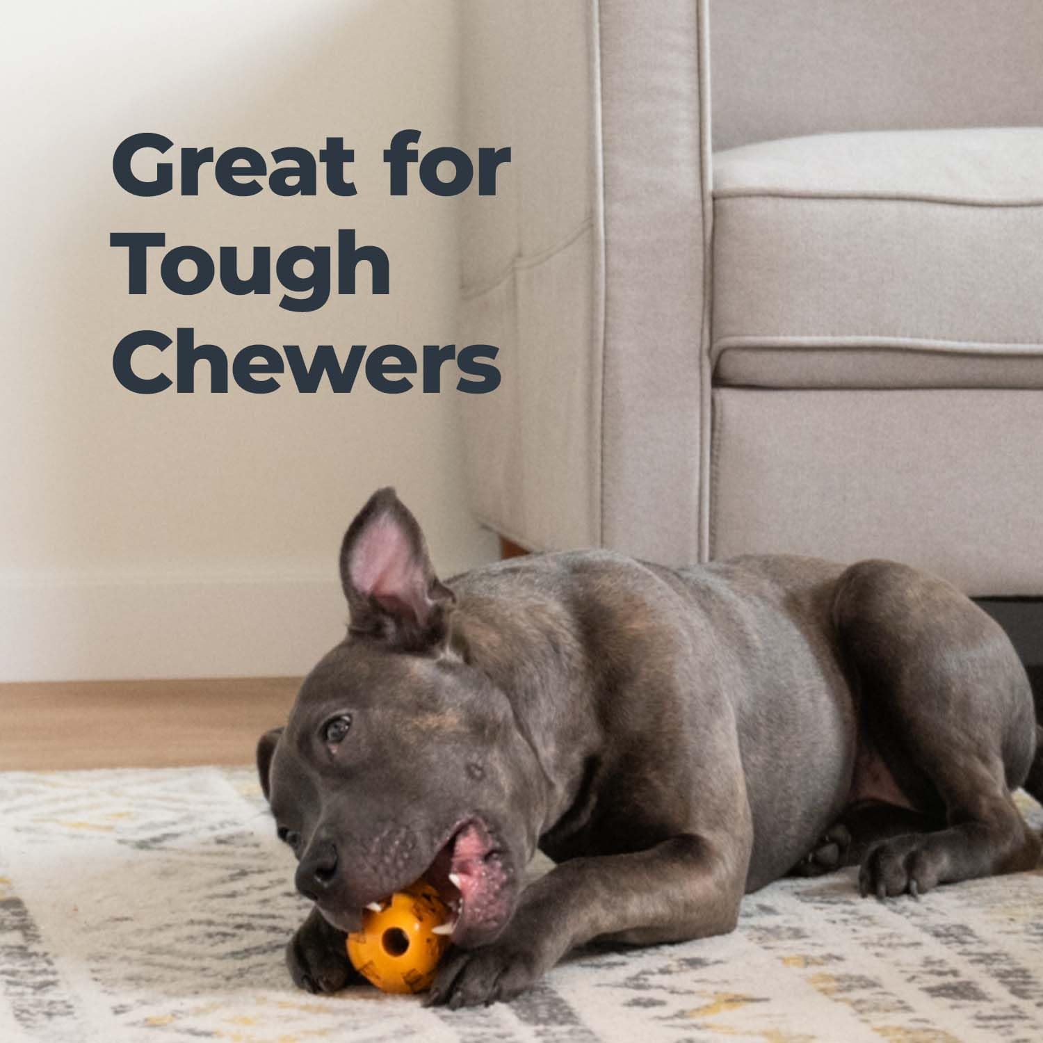 Oxyfresh Juguete dental para perros, el mejor juguete masticable de goma duradero para masticadores agresivos, elimina la placa, limpia los dientes y refresca el aliento sin cepillarse (grande)
