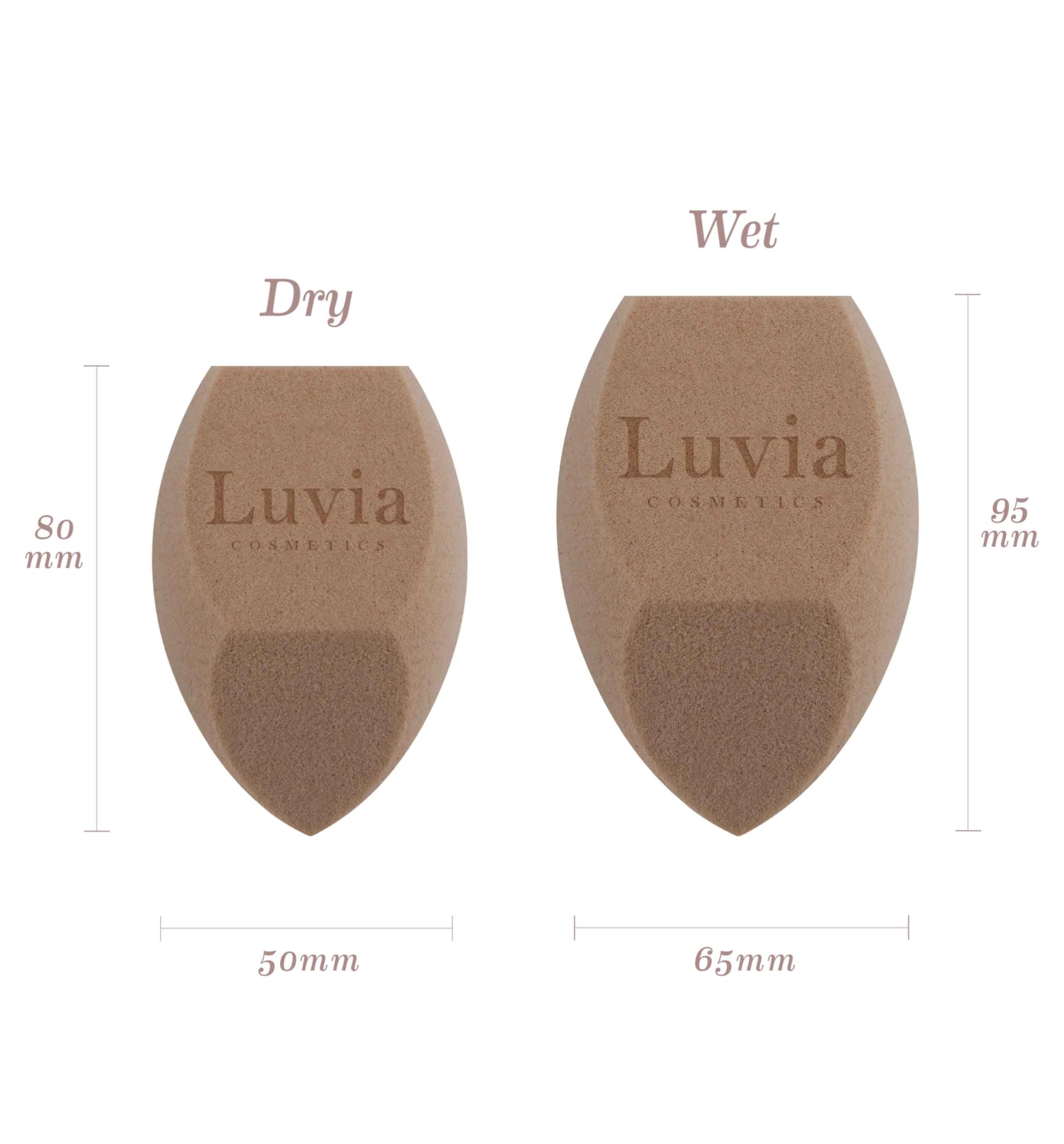 Sponge i gąbka do makijażu XXL w zestawie – Luvia Cosmetics – blenda do makijażu Elegance Coffee