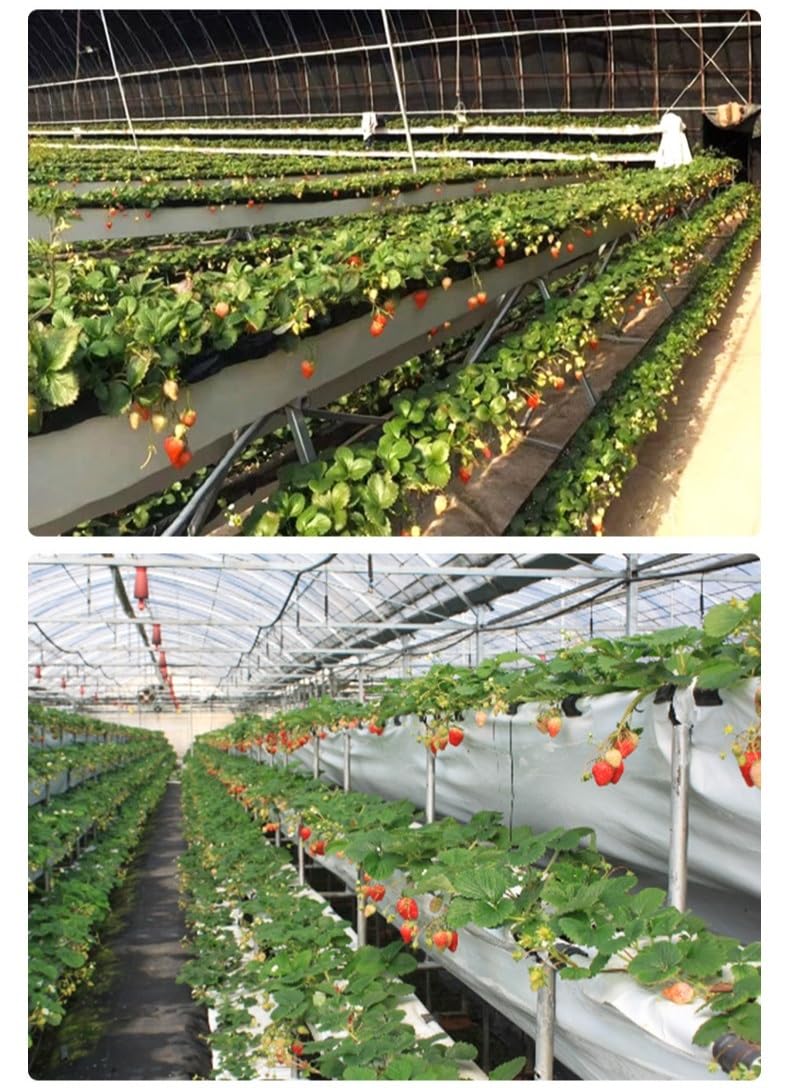 Réservoirs De Floriculture en Forme De V, Pots De Plantes, Conteneurs De Plantation Professionnels, Peuvent Être Épissés en Longueur, 1 Mètre De Long